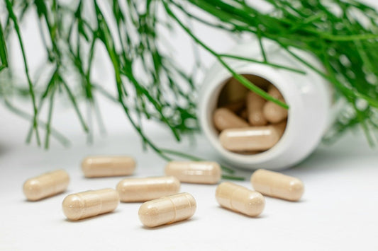 Guia prático para revender suplementos - Vendah