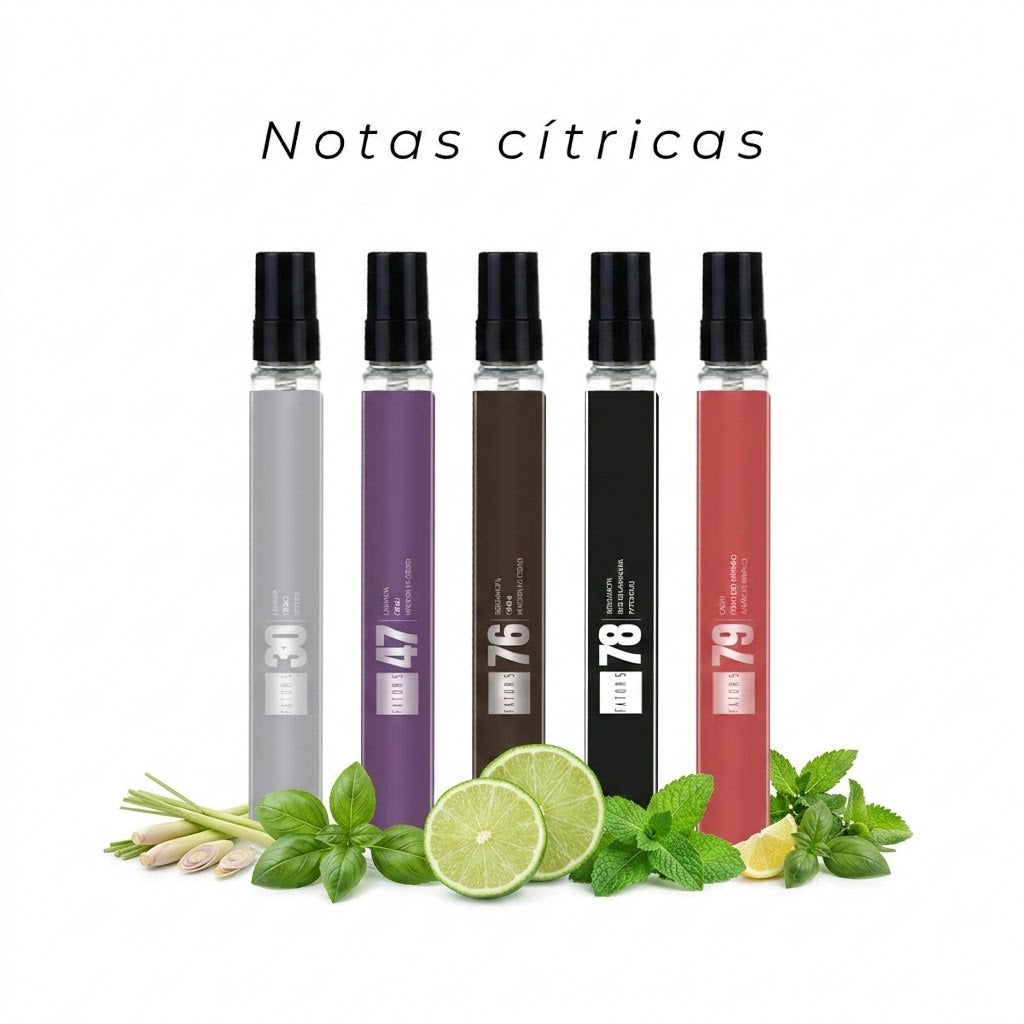 Kit Pocket - Notas Cítricas