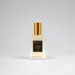 N16 • Dynamique Le Mans • Masculino (Homme Sport - Dior) - 25ml