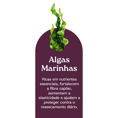 Shampoo em Óleo 210 ml