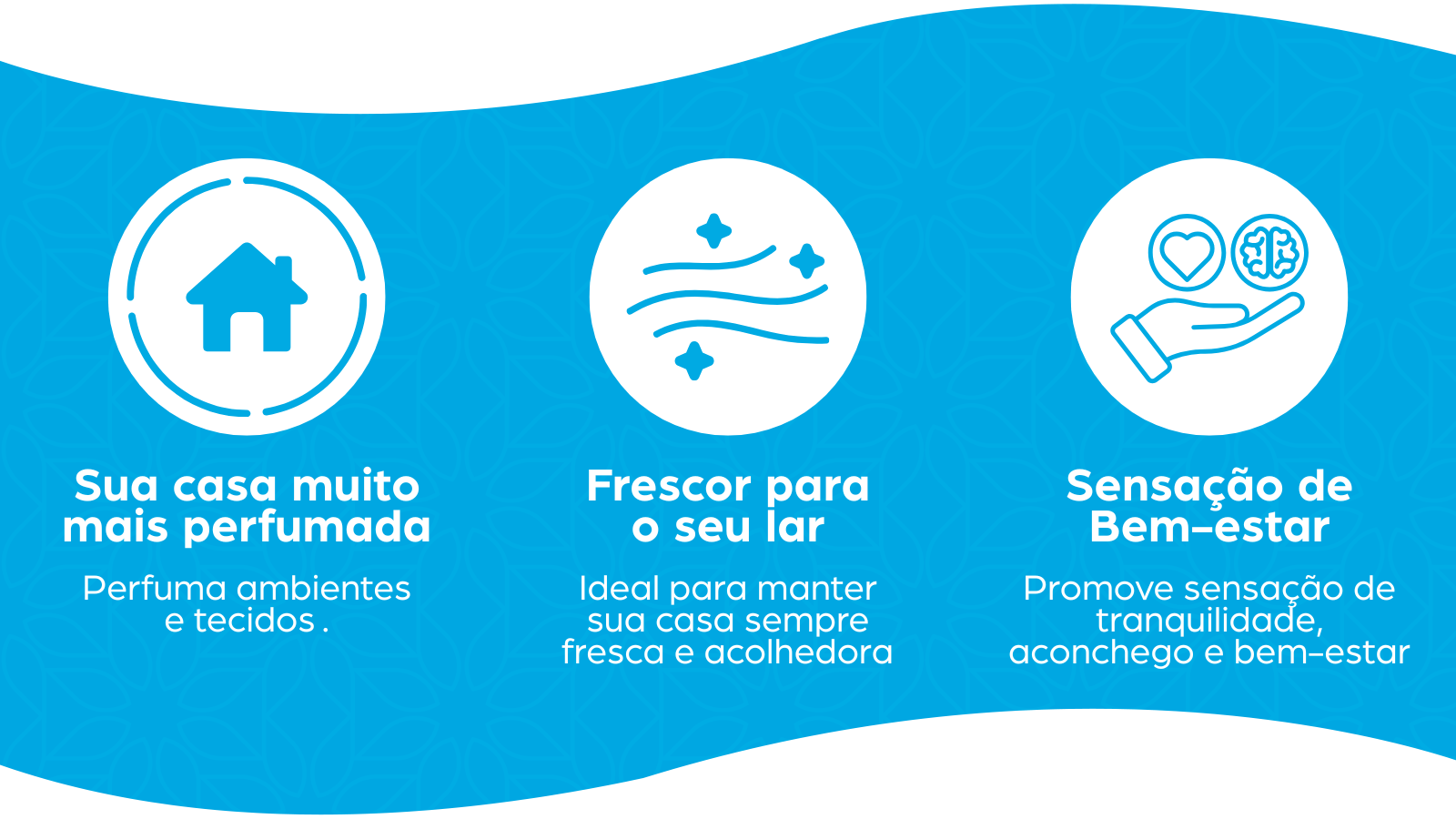 Kit Difusor de Aromas e Odorizante - Orquídea Negra | BLOOM HOME