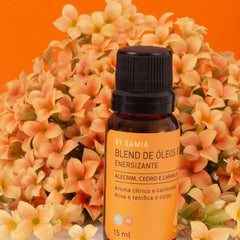 Blend de Óleos Energizante 15ml