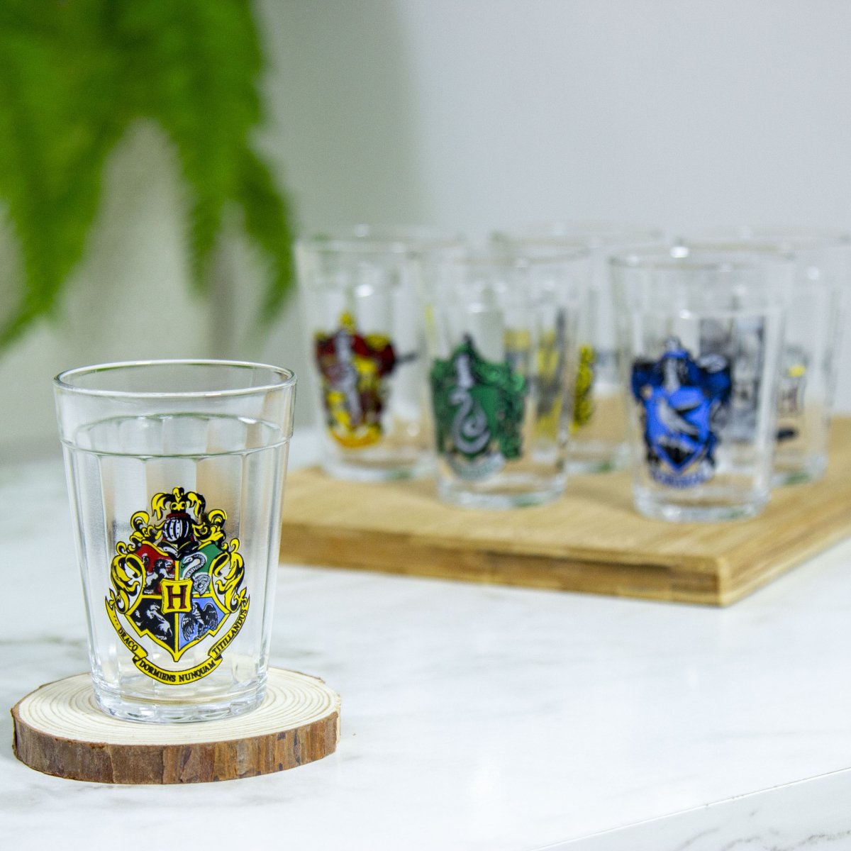 Conjunto 6 Copos Americano Harry Potter Casas - 190ml