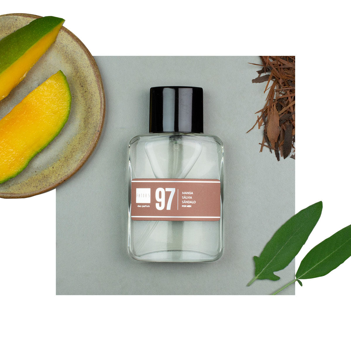Perfume 97 | 60ml - Masculino (Polo Black - Ralph Lauren)