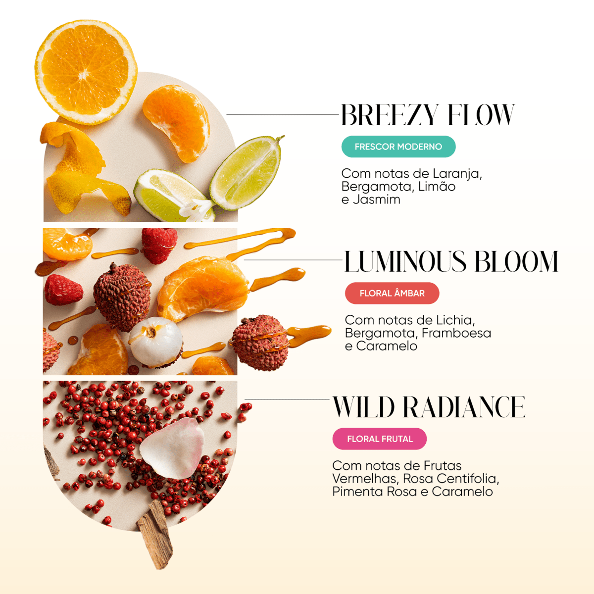 Trio Wild Radiance + Brinde Frasqueira Rosa