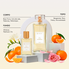Kit Quarteto Hits Femininos N1 + N2 + N6 + N10 | 25ml