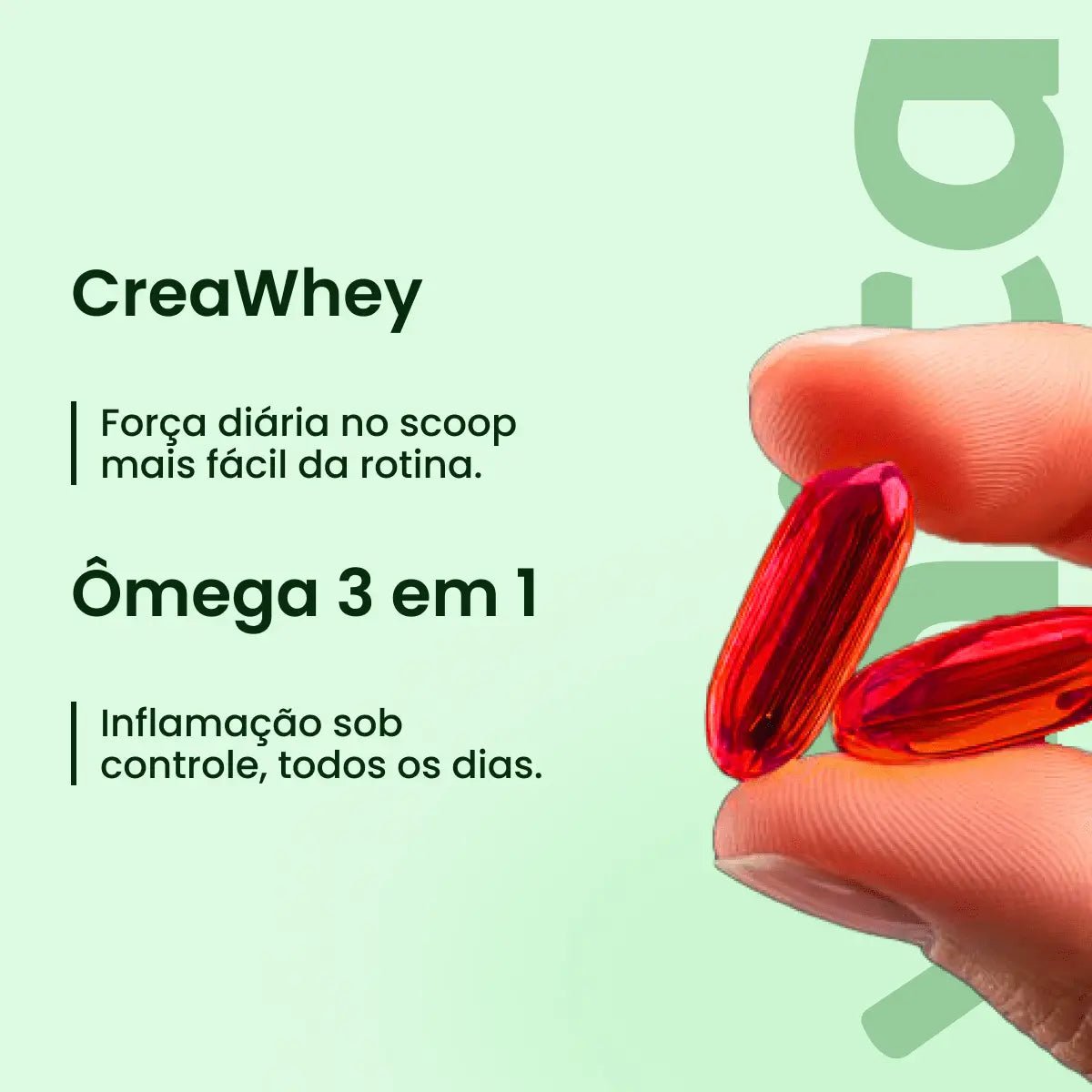 Kit Creawhey + Ômega 3 em 1