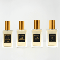 Kit Quarteto Clássico Masculinos N13 + N17 + N18 + N20 | 25ml