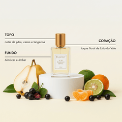 Kit Quarteto Clássicos Femininos N5 + N7 + N9 + N26 | 25ml