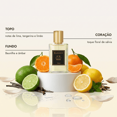 Kit Sexteto Masculino N15 + N17 + N18 + N19 + N31 + N35 | 25ml