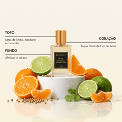 Kit Sexteto Masculino N21 + N23 + N25 + N31 + N33 + N35 | 25ml