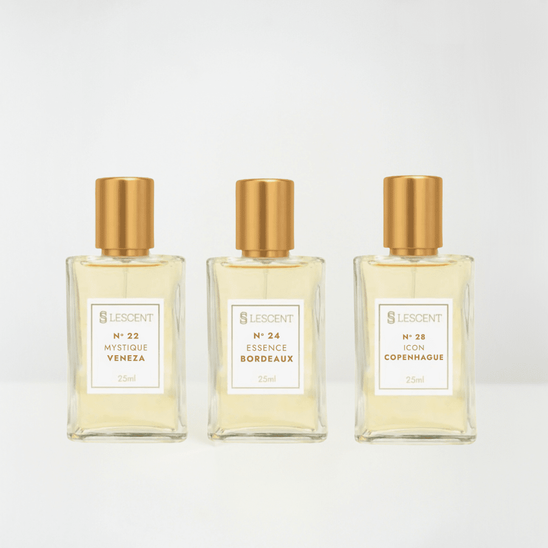 Kit Trilogia Hit Feminino N22 + N24 + N28 | 25ml - Perfumes e Colónias KLC00066