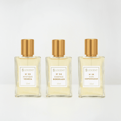 Kit Trilogia Hit Feminino N22 + N24 + N28 | 25ml