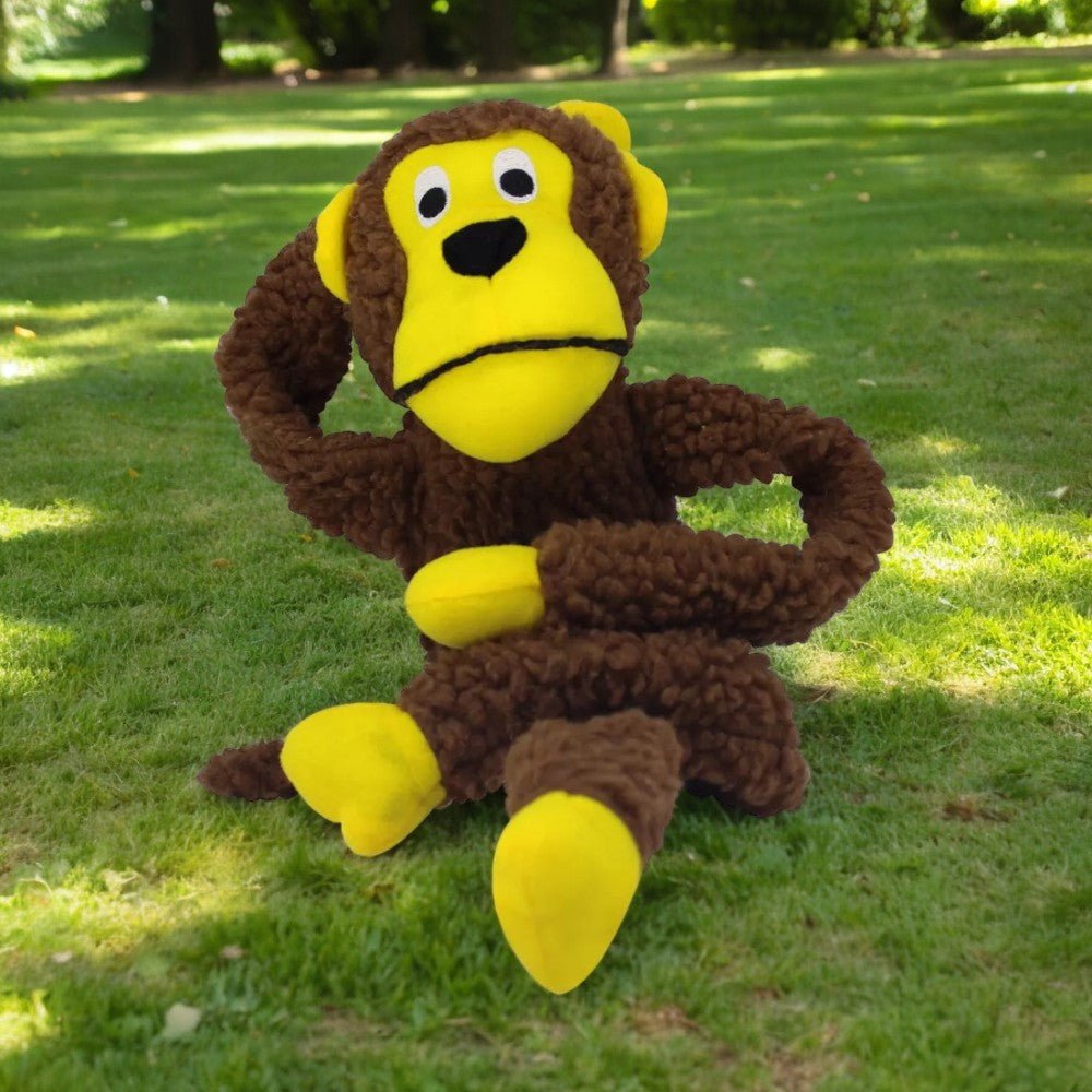 Macaco Pet Ringo