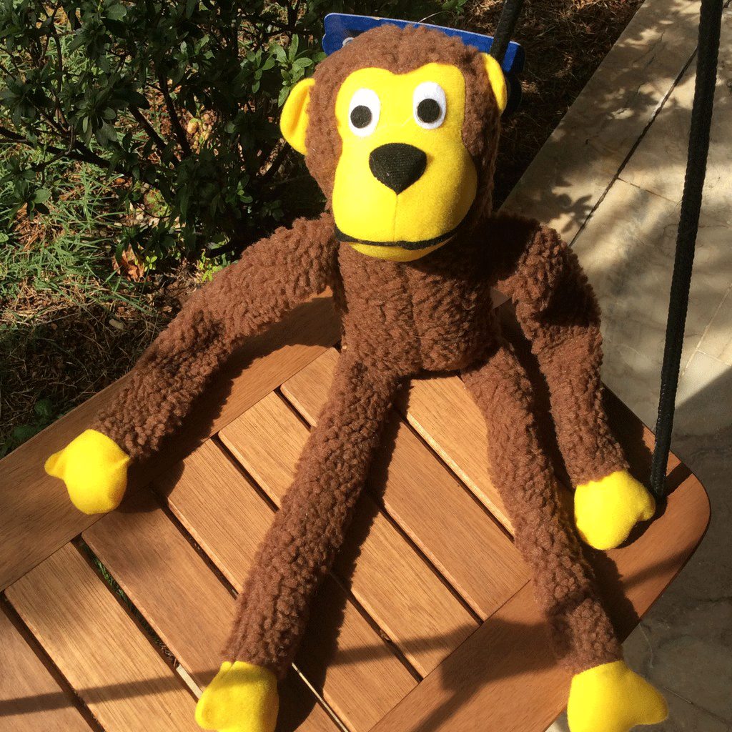 Macaco Pet Ringo