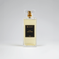 N12 • Noble Nice • Masculino (Bleu - Chanel) - 100ml