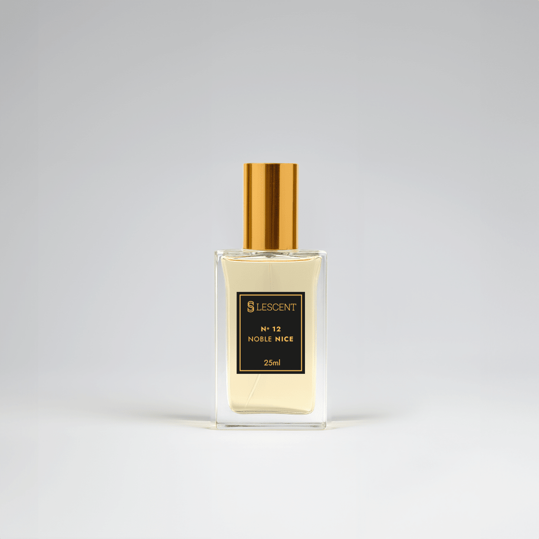 N12 • Noble Nice • Masculino (Bleu - Chanel) - 25ml - Perfumes e Colónias LC03012