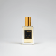 N16 • Dynamique Le Mans • Masculino (Homme Sport - Dior)
