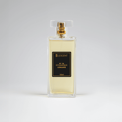 N16 • Dynamique Le Mans • Masculino (Homme Sport - Dior)