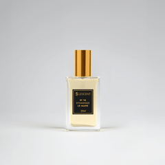 N16 • Dynamique Le Mans • Masculino (Homme Sport - Dior) - 25ml
