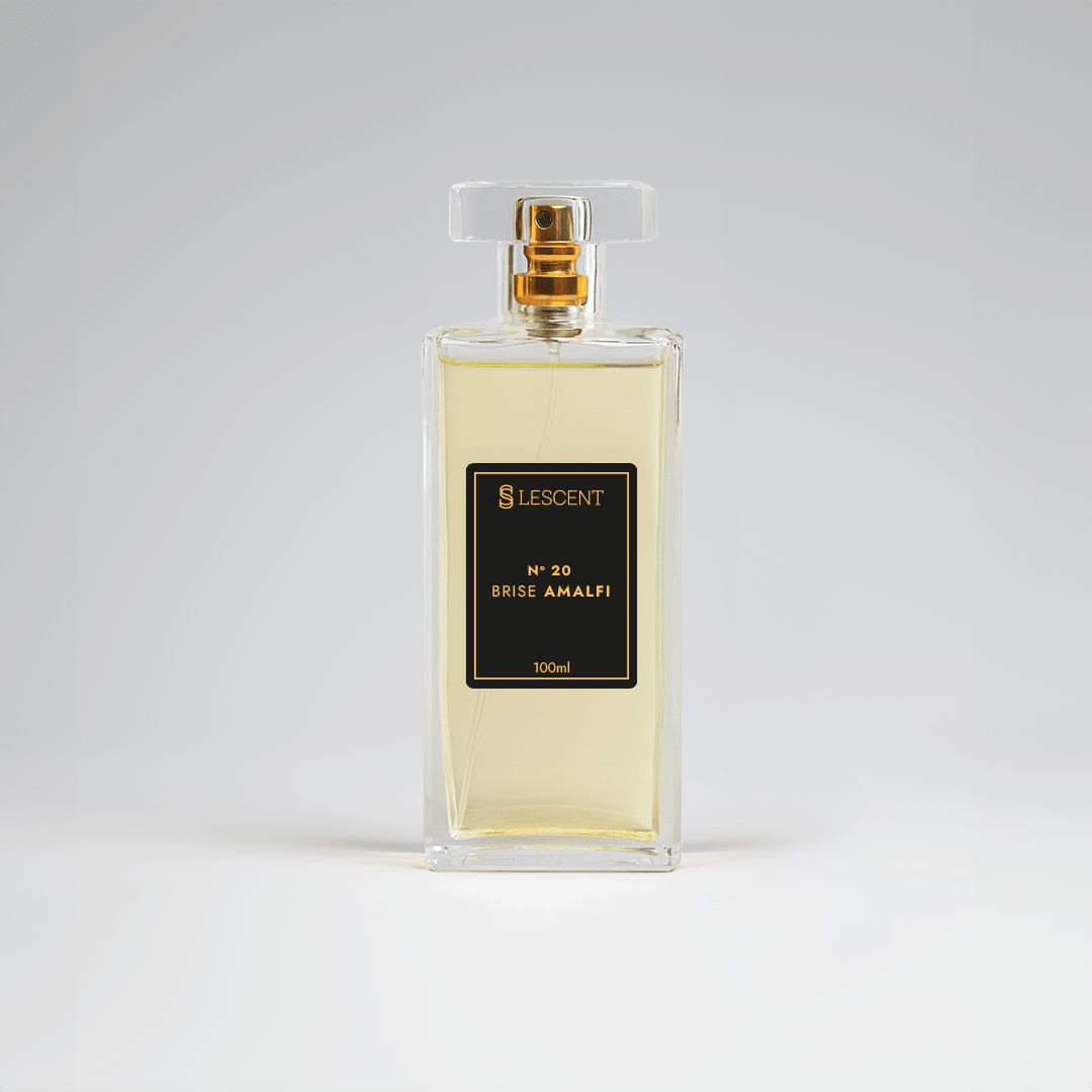 N20 • Brise Amalfi • Masculino (Acqua di Giò - Giorgio Armani) - 100ml - Perfumes e Colónias LC04020