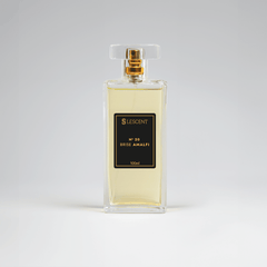N20 • Brise Amalfi • Masculino (Acqua di Giò - Giorgio Armani) - 100ml