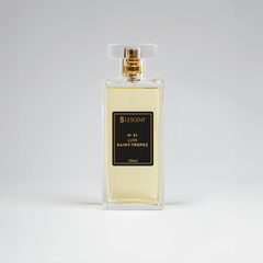 N21 • Luxe Saint-Tropez • Masculino (1 Million - Paco Rabanne)