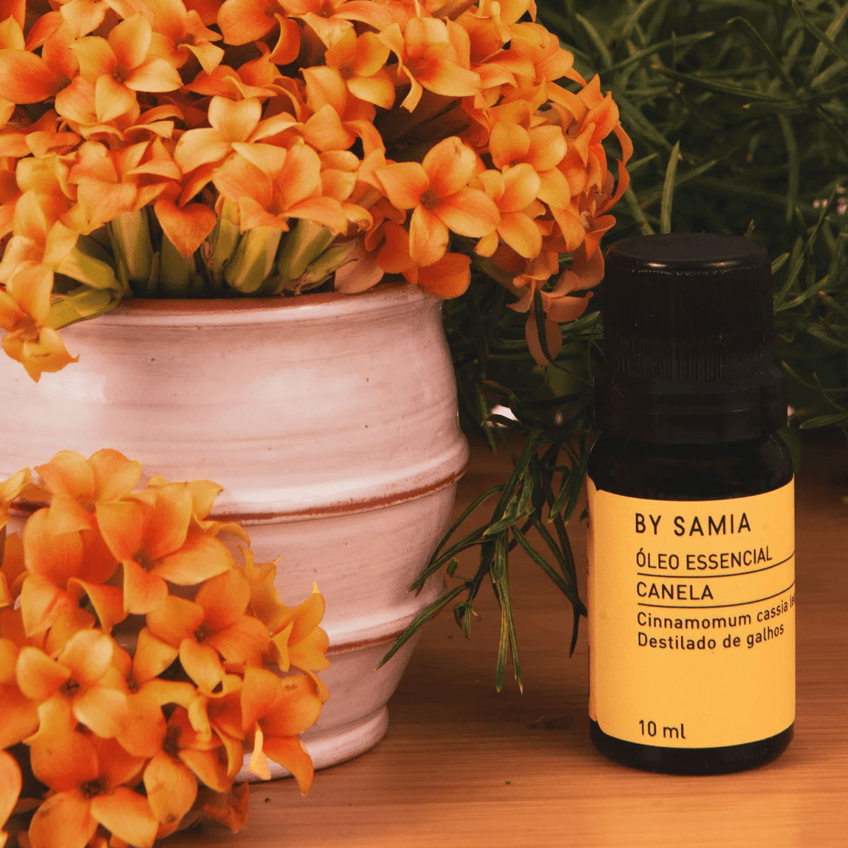 Óleo Essencial de Canela Folhas 10 ml