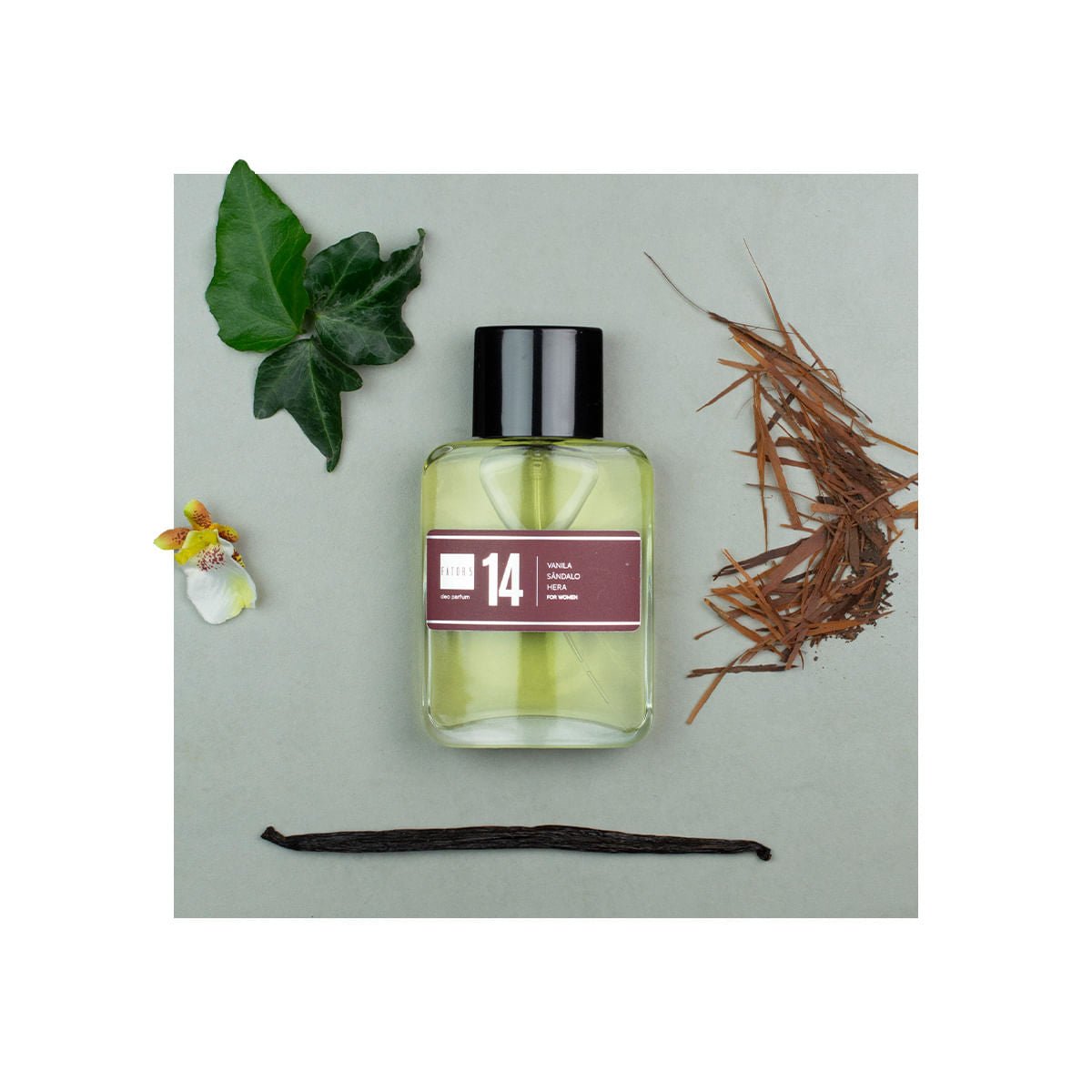 Perfume 14 | 60ml - Feminino (Dolce & Gabbana Woman) - 