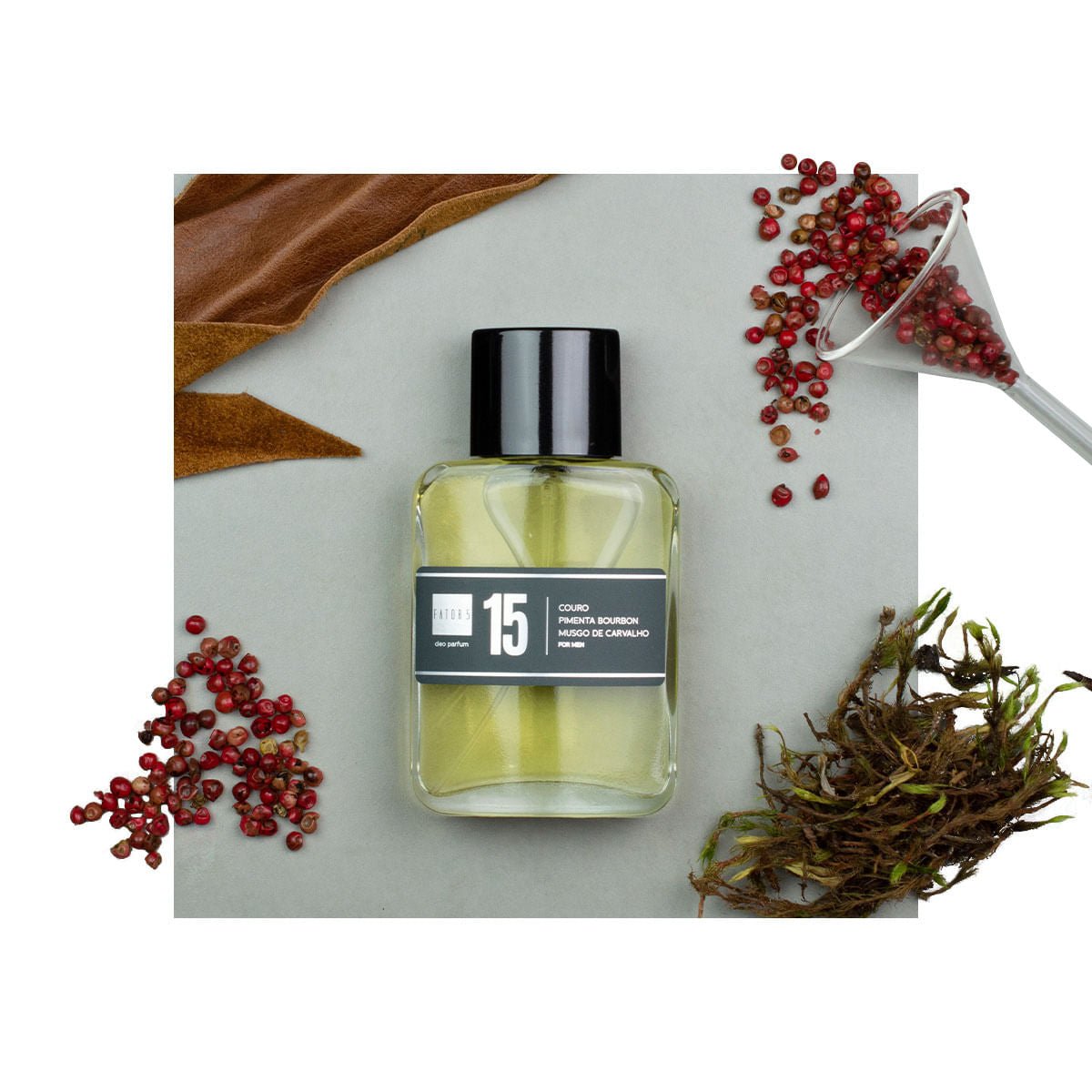 Perfume 15 | 60ml - Masculino (Lapidus)