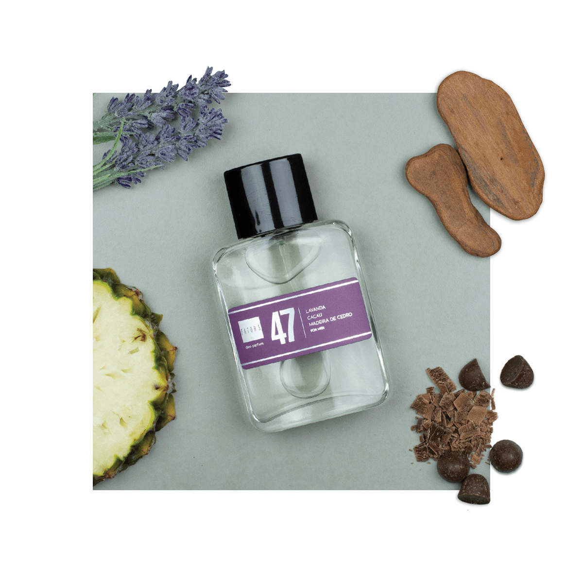 Perfume 47 | 60ml - Masculino (Animale - Parlux)