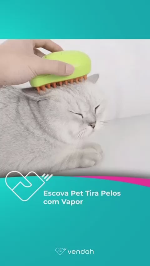 Escova Pet Tira Pelos com Vapor