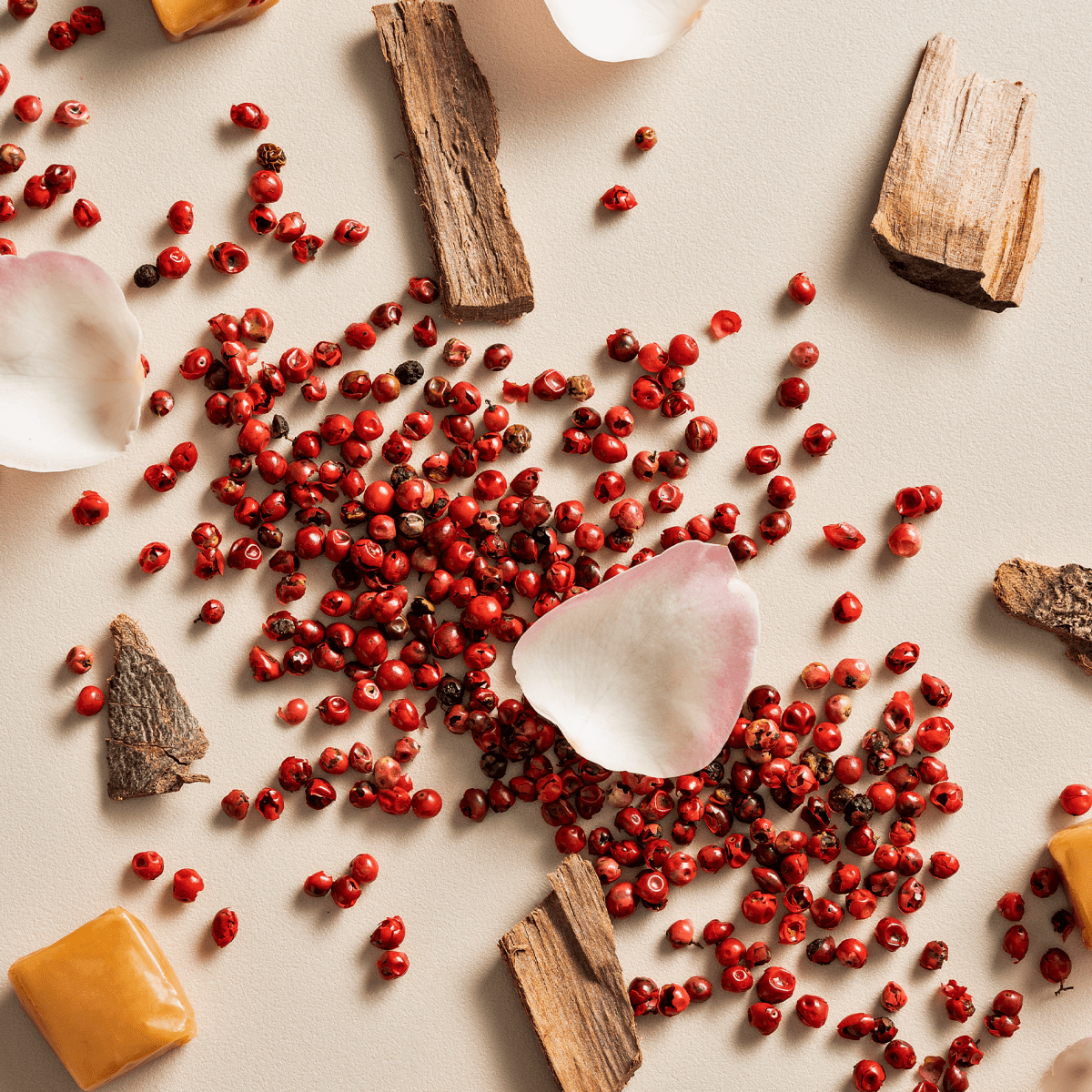 Trio Wild Radiance + Brinde Frasqueira Rosa